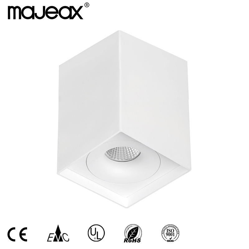 Surface ceiling light MJ-1021